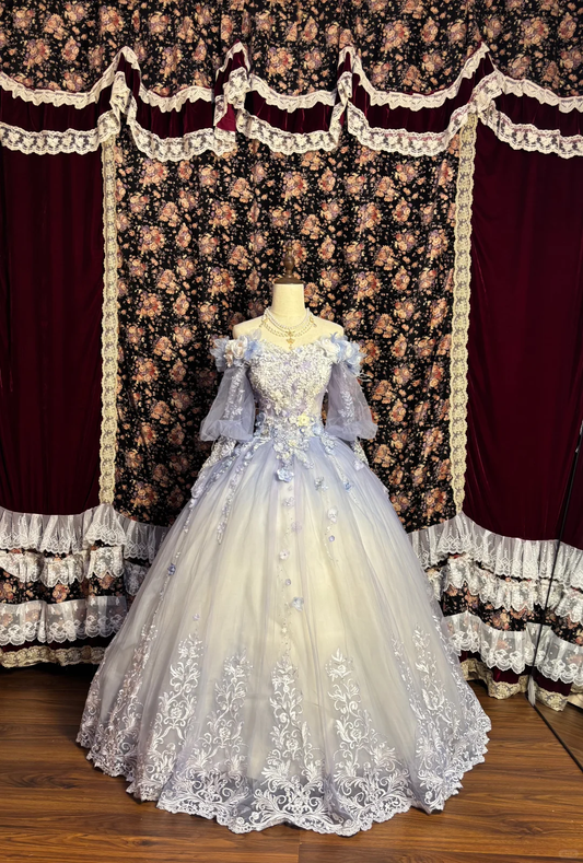 Wunderschönes schulterfreies A-Linien-Abendkleid mit Ombre-Applikationen, Geburtstags- und Ballkleid, D1151