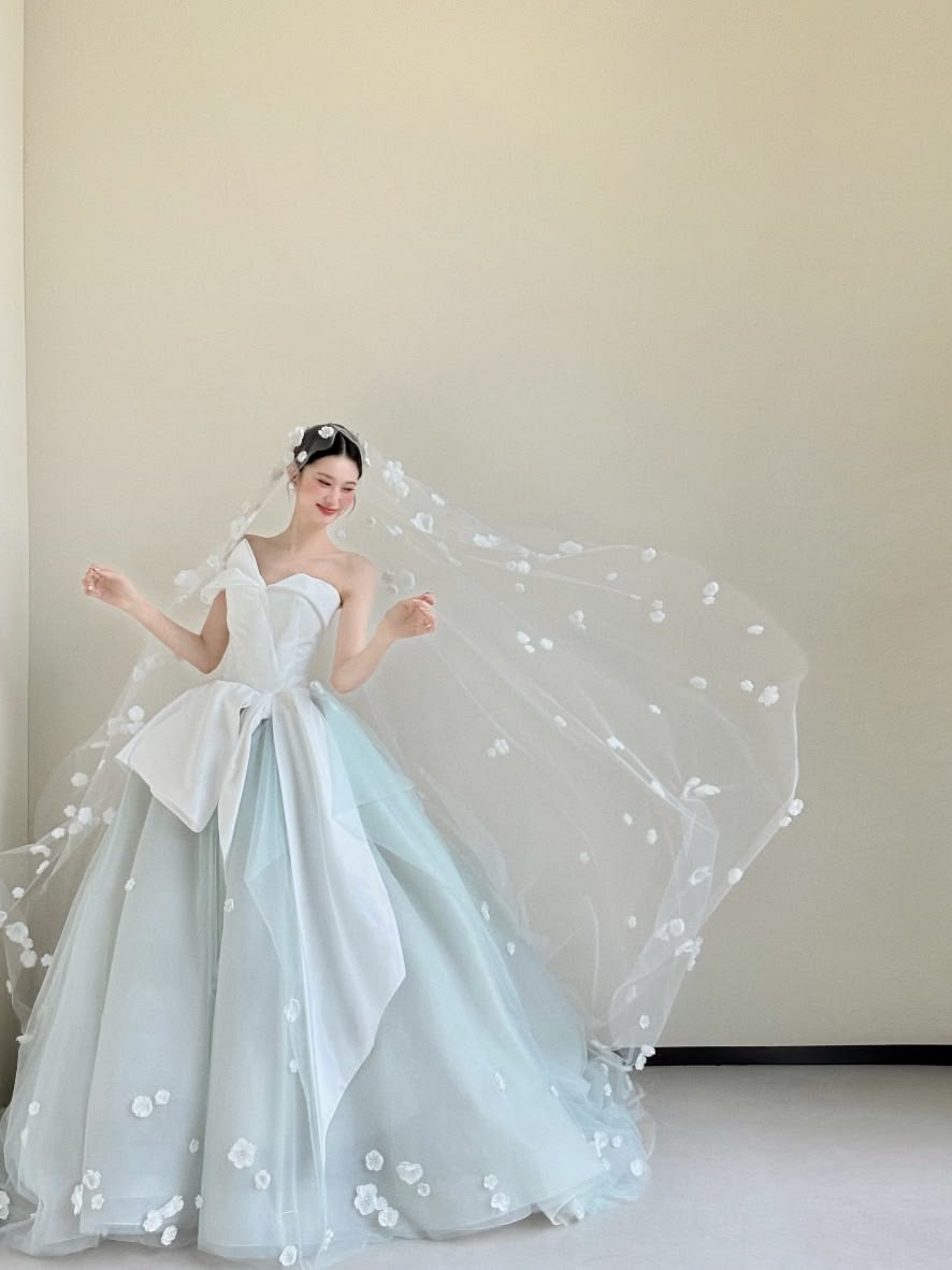 Modest Mint Green Ball Gown Asymmetrical Neck Appliques Tulle Dress Quinceanera Dress 16 L401