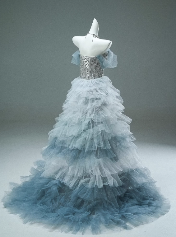 Shiny Prom Dress Strapless Tulle Prom Gown Gala Dress Evening Dress D2634