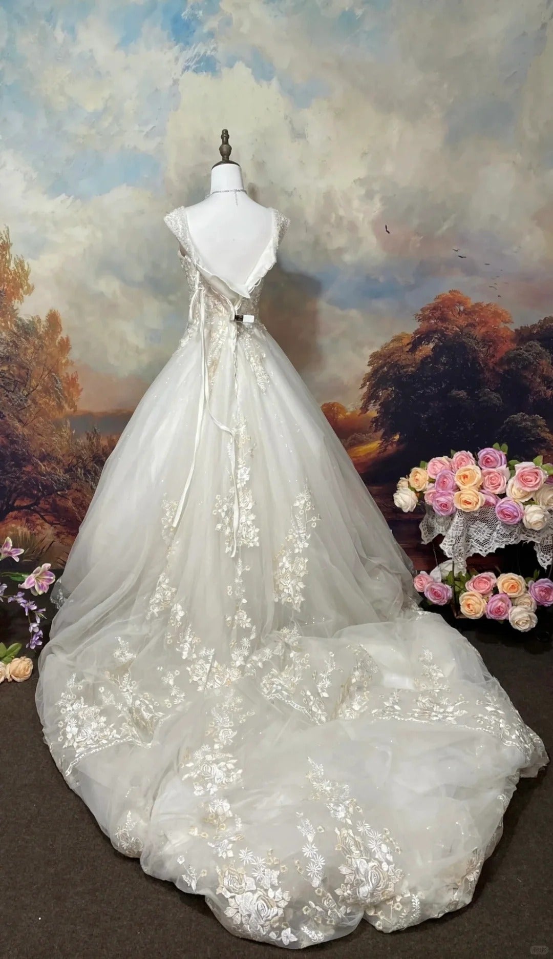 Elegant Wedding Dress V-neck Pleated Prom Dress Evening Dress D2670