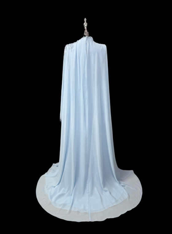 Beauty Kleid für die Brautmutter A-Linie Langarm Plissee Kleid für die Brautmutter D3151