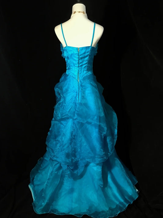 Vintage Prom Dress Spaghetti StrapsTulle Evening Dress Birthday Party Dress D3525