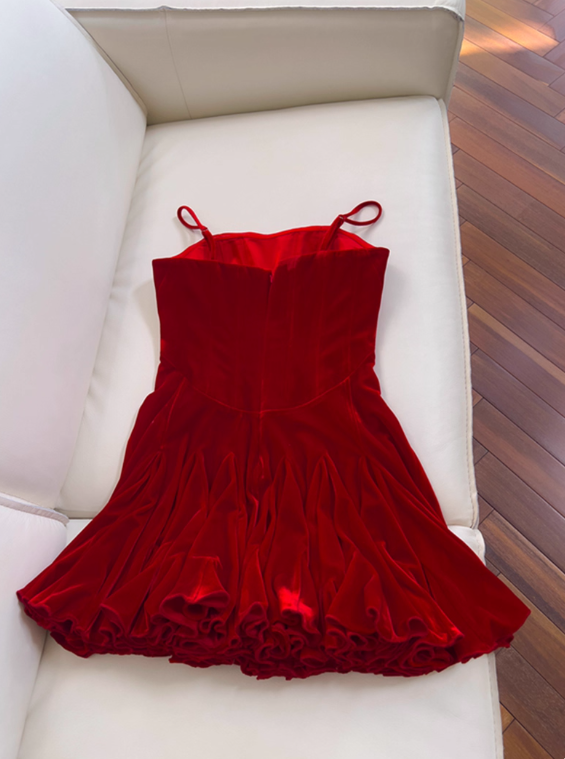 Beauty Homecoming Dress Red Spaghetti Straps Pleated Short Prom Dress Cocktail Dress Birthday Party Dress D4037