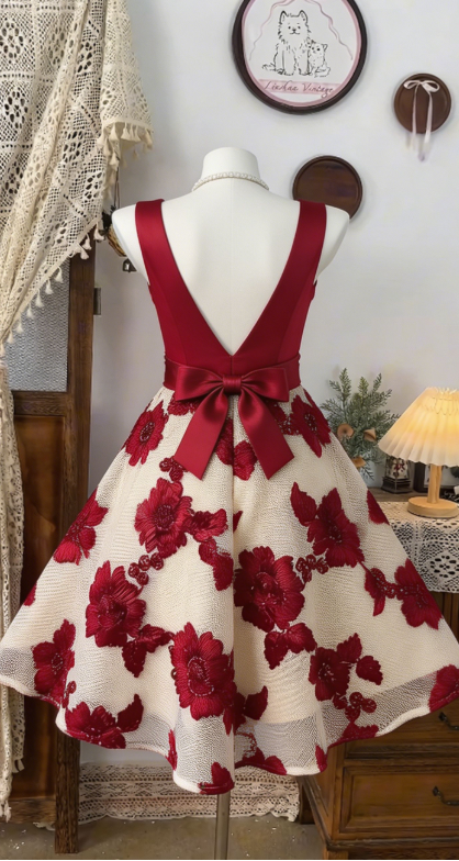 Beauty Homecoming Dress V Neck Bowknot Back to School Outfits Party Dress D6496