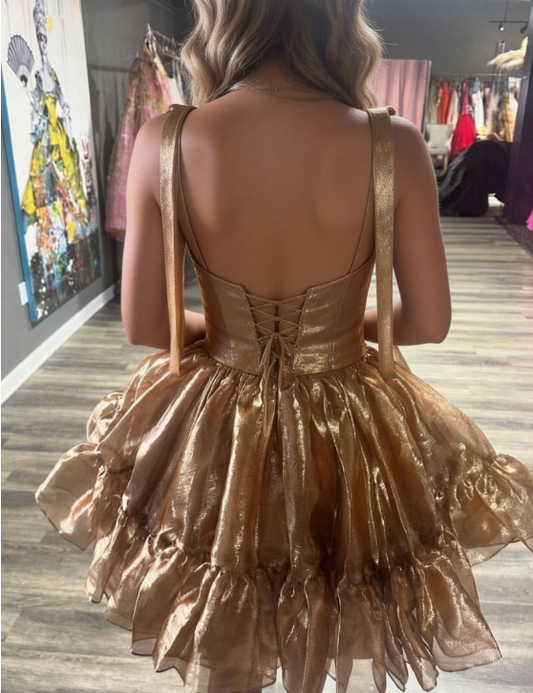 Stunning Homecoming Dress Sweetheart Tulle Back to School Outfits Party Dress D6809
