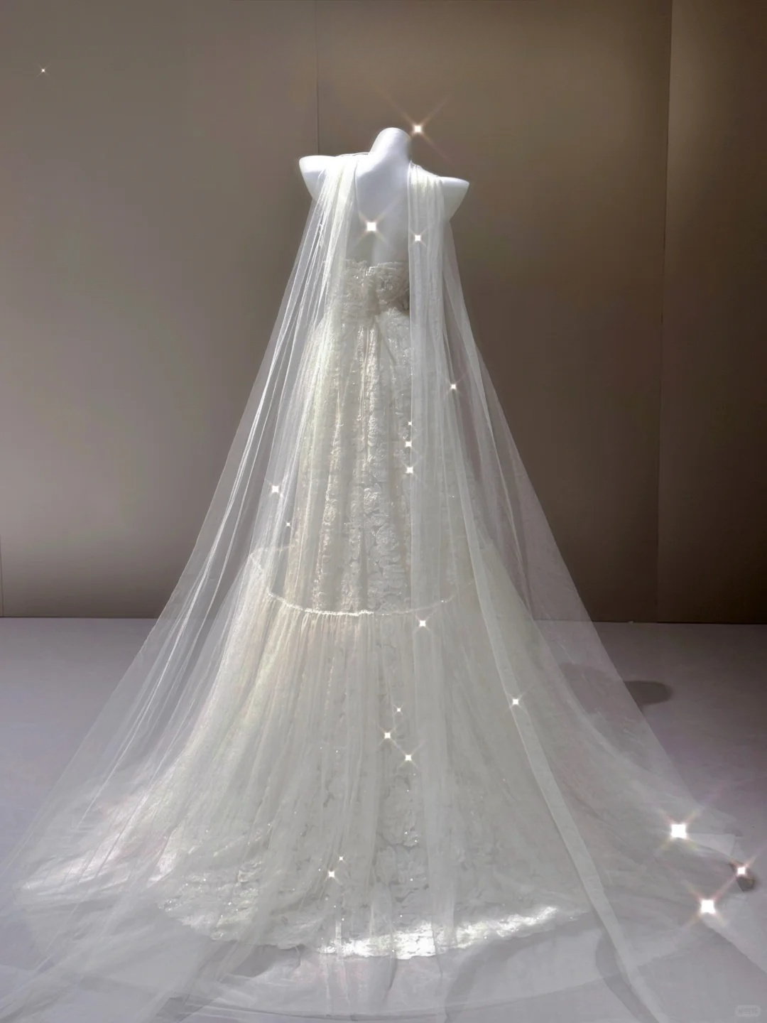 Elegantes A-Linien-Brautkleid mit herzförmigem Ausschnitt und langem Tüll-Abendkleid, D471