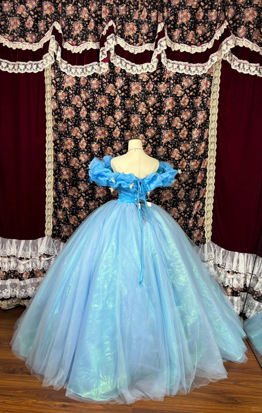 Retro Blau Off-the-Shoulder A-Linie Tüll Quinceanera Kleider Sweet 18 Geburtstag Ballkleider, D1424