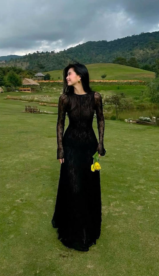 Sexy Black A-Line Long Sleeves Lace Long Party Dress Evening Dress, D928