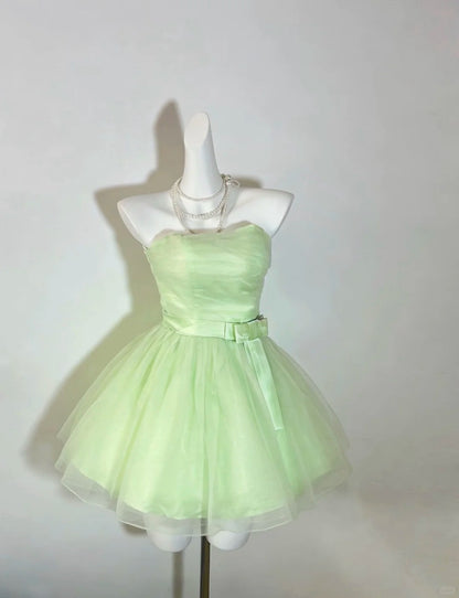 Simple Homecoming Dress Strapless Tulle Bowknot Prom Dress Back to School Outfits Party Dress  D6135