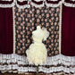 New Homecoming Dress Off the Shoulder Lace Rinestone Prom Dress Back to School Outfits Party Dress  D6122