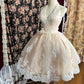 Fashionable Homecoming Dress Halter Lace Applique Prom Dress Back to School Outfits Party Dress  D6126