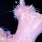 Sparkling Elegant Pink A-Line Tiered Prom Dress Evening Dress Ball Gown D1696