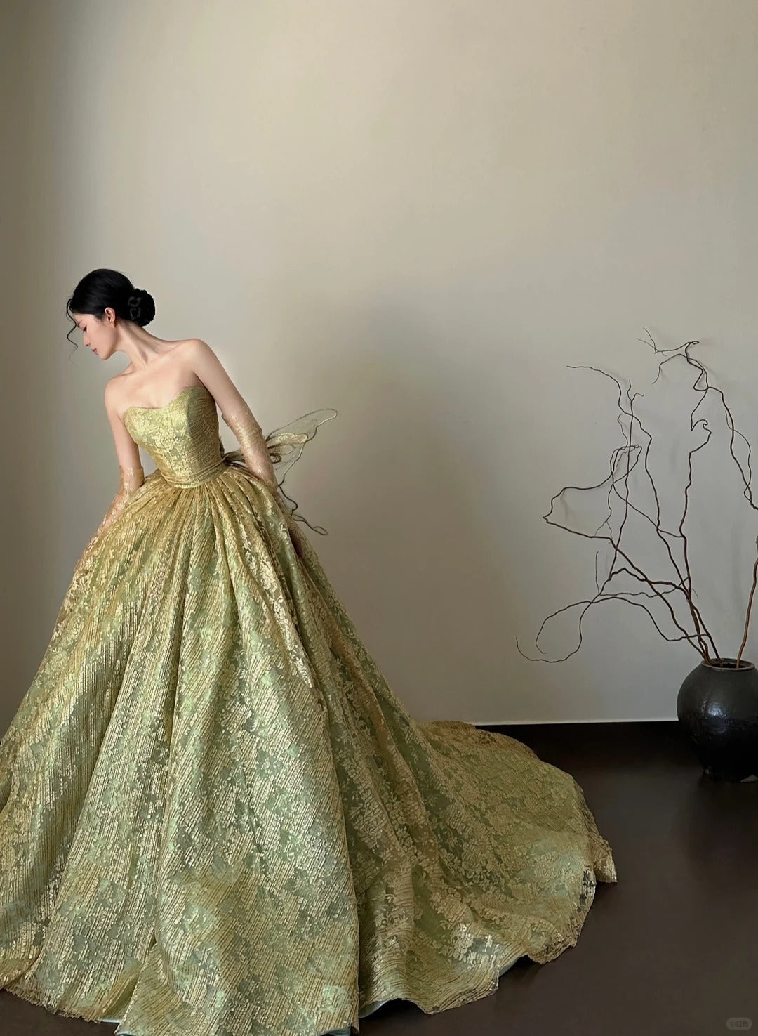 Pretty Sage Green Ball Gown Strapless Butterfly Wings Lace Tulle Prom Quinceanera Dress 16 L144
