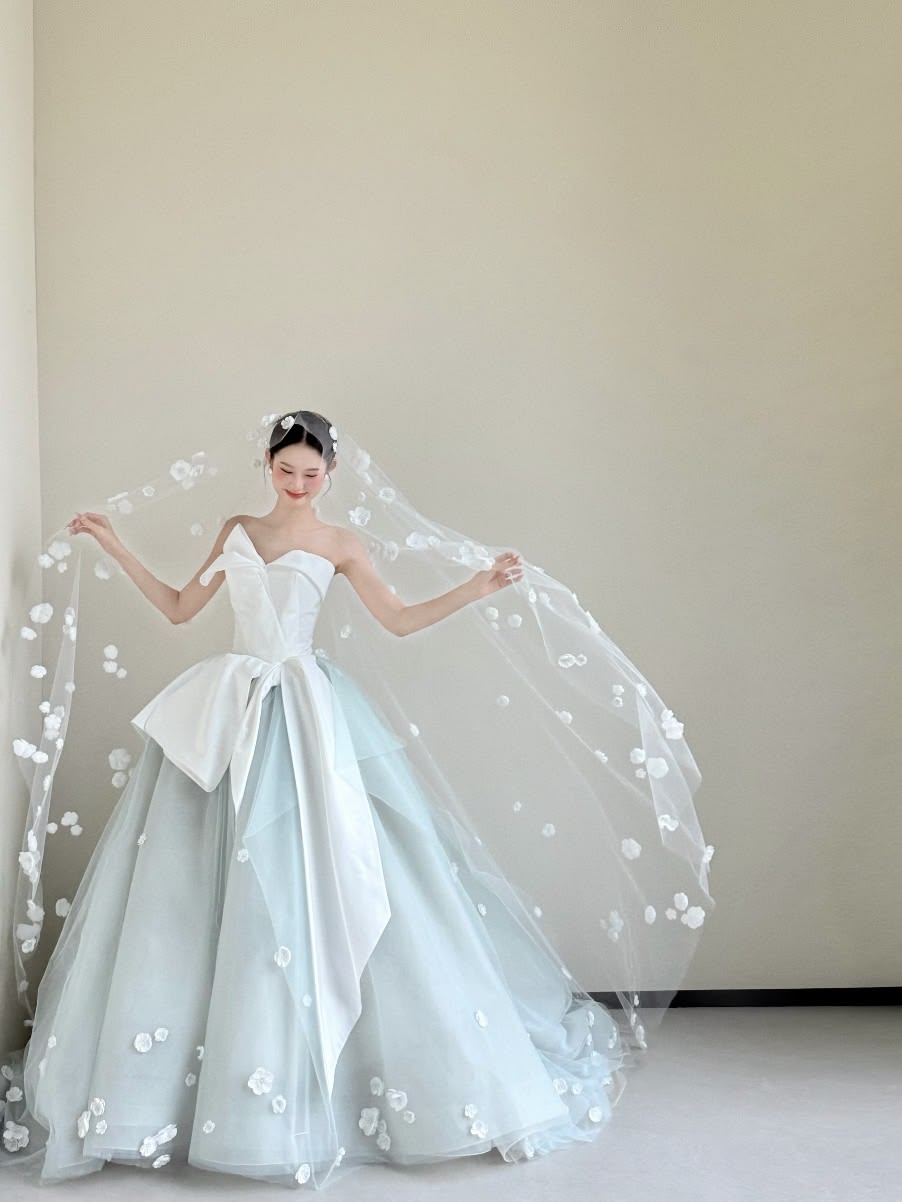Modest Mint Green Ball Gown Asymmetrical Neck Appliques Tulle Dress Quinceanera Dress 16 L401
