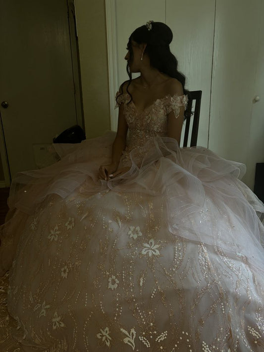 Dreamy Champagne Ball Gown Off-The-Shoulder Appliques Beaded Embroidery Tulle  Quinceanera Dress 16 L53