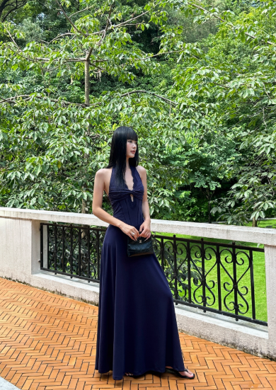 French A Line Lace V-neck Halter Backless Pleated Seaside Holiday Female Long Dress Date Dress  D1853