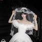 Elegant A Line Off the Shoulder Lace Ruffle Pleated Short Prom Dress Homecoming Dress Birthday Party Dress D2109