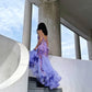 Stunning Prom Dress Spaghetti Straps Tulle Mermaid Prom Gown Evening Dress Party Dress  D2684