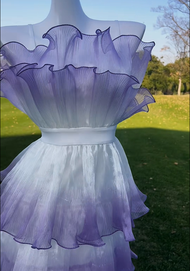 Stunning Prom Dress Strapless Ruffle Tiered Evening Dress Birthday Party Dress D2710