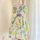 Cute Summer Dress Crew Neck Print Women Dress Birthday Party Dress    D2864