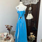 Shiny Prom Dress Blue A Line Spaghetti Straps Evening Dress Gala Dress   D3132