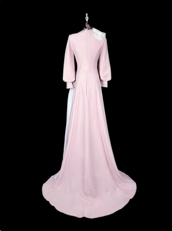 Elegant Mother of Bride Dress A Line Long Sleeve Mother of Bride Dress   D3148