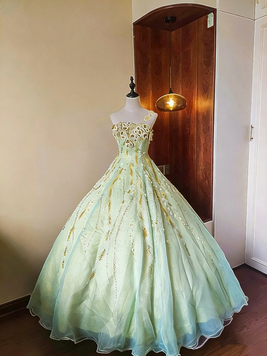 Charming Prom Dress One Shoulder Pleated Tulle Ball Gown Evening Dress Quinceanera Dress Birthday Party Outfits   D4087