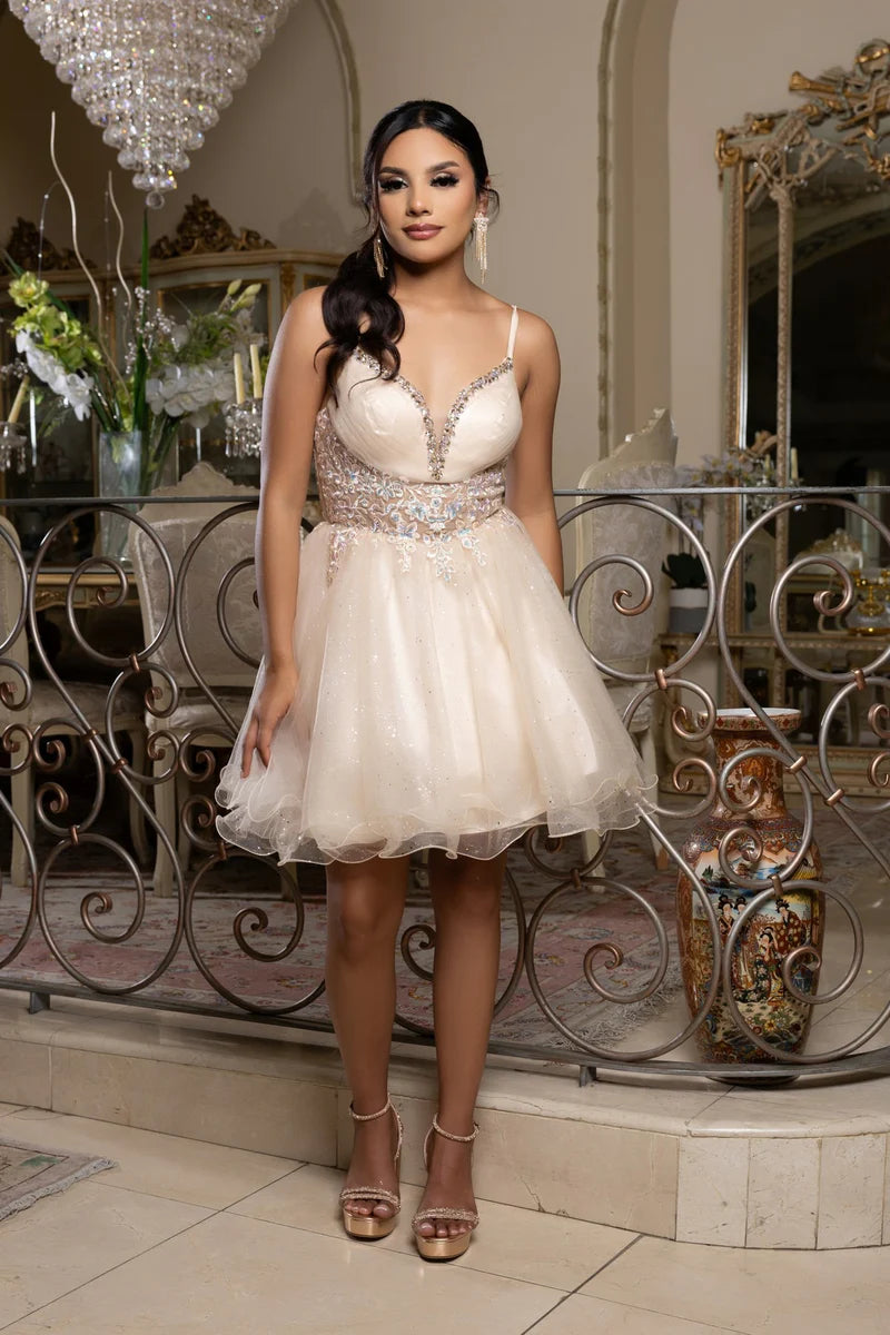 Fashionable Homecoming Dress Spaghetti Strap V Neck Sequins Tulle Applique Back to School Outfits Party Dress D7872