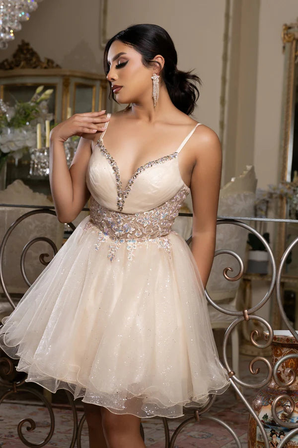 Fashionable Homecoming Dress Spaghetti Strap V Neck Sequins Tulle Applique Back to School Outfits Party Dress D7872