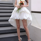 New Homecoming Dress Spaghetti Straps Hi-Lo Prom Dress Back to School Outfits Party Dress  D6154