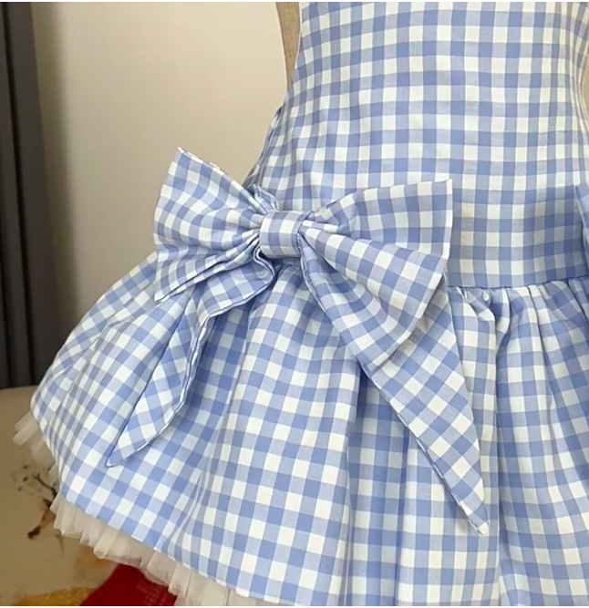 Simple Homecoming Dress Spaghetti Strap Bowknot Lace Prom Dress Back to School Outfits Party Dress  D6206