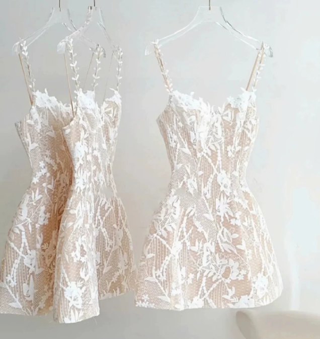 Stunning Homecoming Dress Spaghetti Strap Lace Prom Dress Back to School Outfits Party Dress  D6288