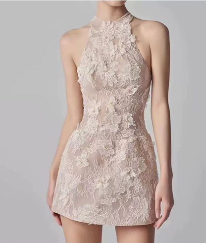 Elegant Homecoming Dress Halter Lace Applique Dress Back to School Outfits Party Dress  D6328