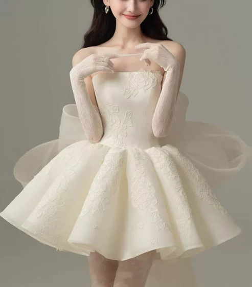 Stunning Homecoming Dress Strapless Applique Bowknot  Dress Back to School Outfits Party Dress  D6335