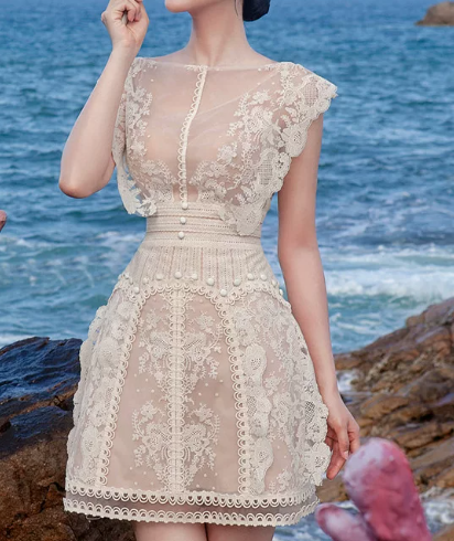 Elegant Homecoming Dress Jewel Lace Back to School Outfits Party Dress  D6506