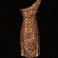 Shiny Homecoming Dress One Shoulder Sequins Back to School Outfits Party Dress  D6544