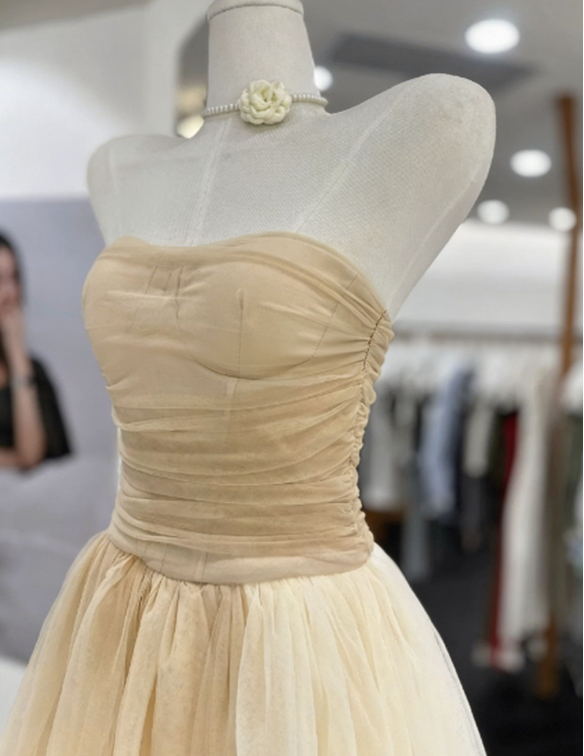 Simple Homecoming Dress Strapless Pleated Tulle Back to School Outfits Party Dress  D6562