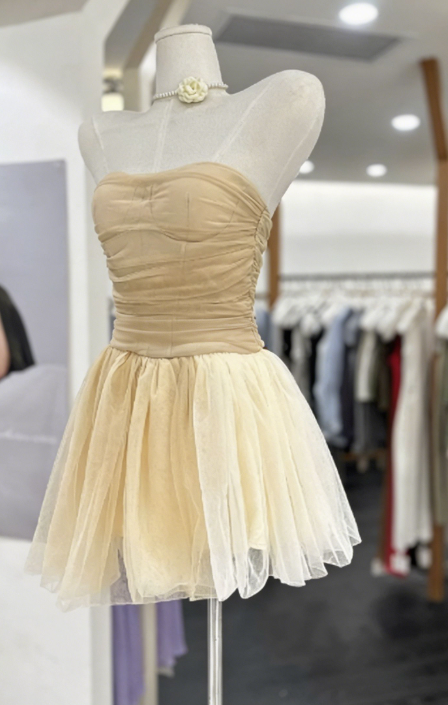 Simple Homecoming Dress Strapless Pleated Tulle Back to School Outfits Party Dress  D6562