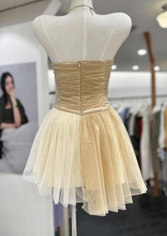 Simple Homecoming Dress Strapless Pleated Tulle Back to School Outfits Party Dress  D6562