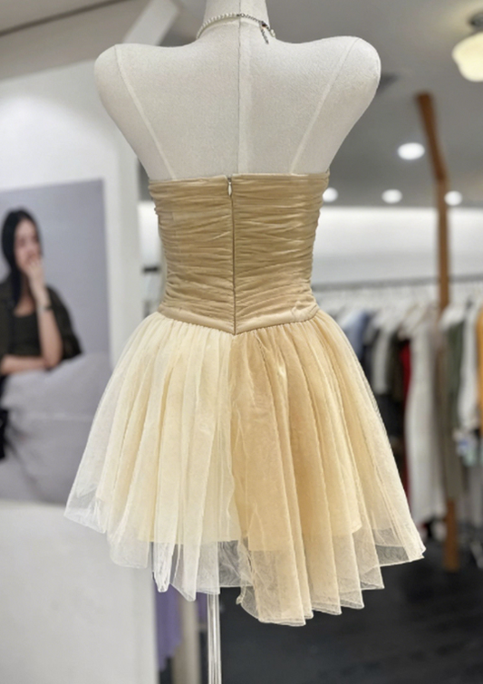 Simple Homecoming Dress Strapless Pleated Tulle Back to School Outfits Party Dress  D6562