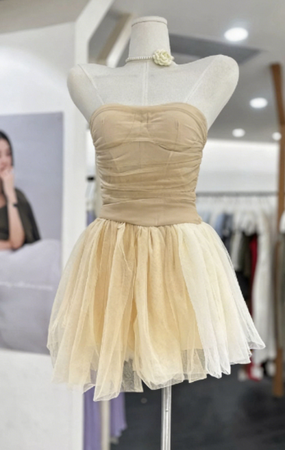 Simple Homecoming Dress Strapless Pleated Tulle Back to School Outfits Party Dress  D6562
