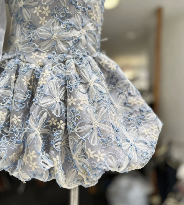 Elegant Homecoming Dress Spaghetti Strap Applique Back to School Outfits Party Dress  D6568