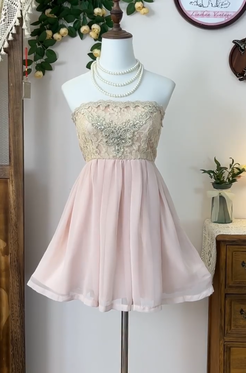 Beauty Homecoming Dress Strapless Lace Back to School Outfits Party Dress  D6640