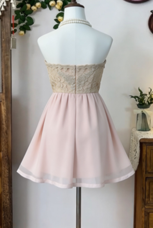 Beauty Homecoming Dress Strapless Lace Back to School Outfits Party Dress  D6640