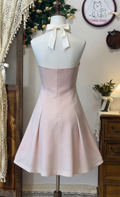 Charming Homecoming Dress Halter Bowknot Pleated Back to School Outfits Party Dress  D6646