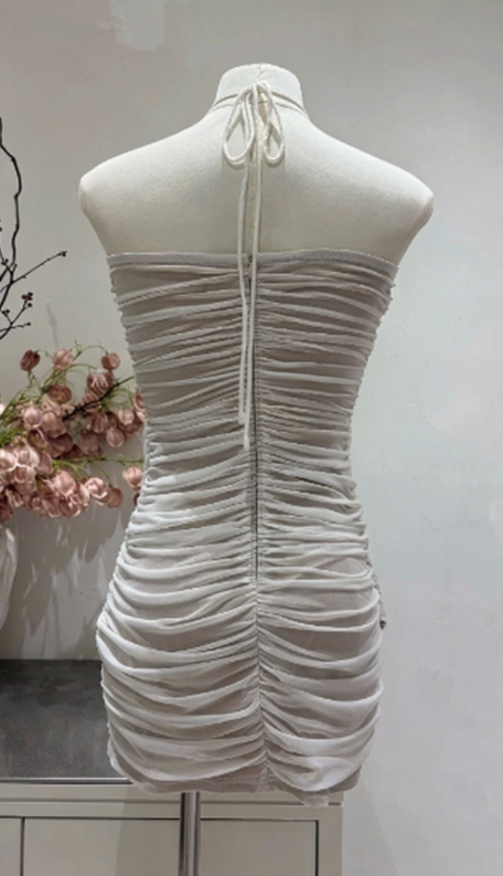 New Homecoming Dress Halter Pleated Hugging Back to School Outfts Party Dress D6775