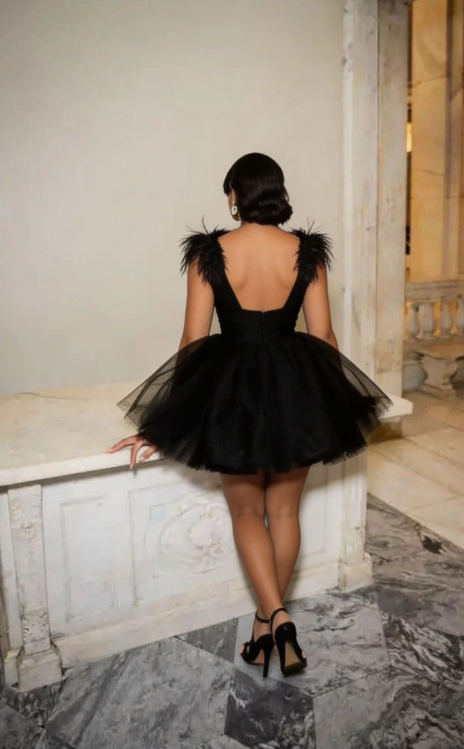 Chic Homecoming V Neck Black Tulle Feather Back to School Outfits Party Dress D6727