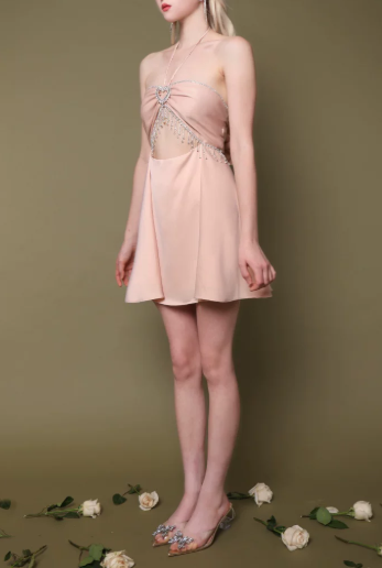 Elegant Homecoming Dress Halter Rinestone Tassel Back to School Outfits Party Dress D6805