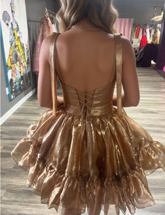 Stunning Homecoming Dress Sweetheart Tulle Back to School Outfits Party Dress D6809