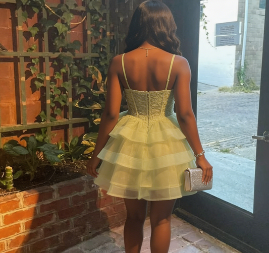 Stunning Homecoming Dress V Neck Applique Tulle Cascade Back to School Outfits Party Dress D6810